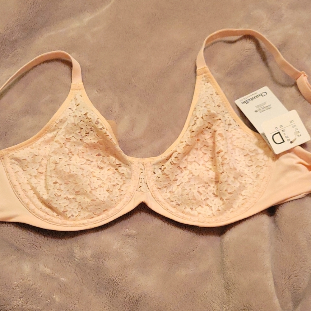 NWT Chantelle 32D Norah Molded Bra Blushing Pink